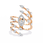 The Nova Curve Ring